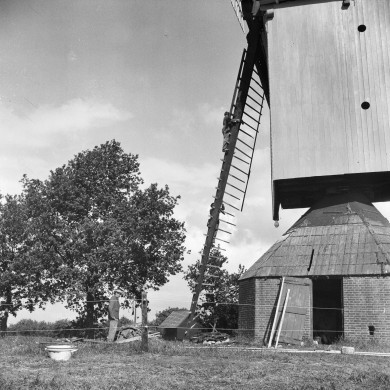 Rijksdienst voor het Cultureel Erfgoed