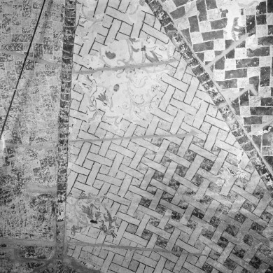 Rijksdienst voor het Cultureel Erfgoed: Delemarre, G.Th.