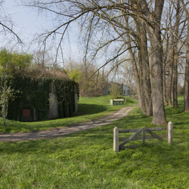 Rijksdienst voor het Cultureel Erfgoed: Booms, C.S. (Chris)-Galen, P. (Paul) van
