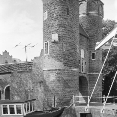 Rijksdienst voor het Cultureel Erfgoed: Delemarre, G.Th.