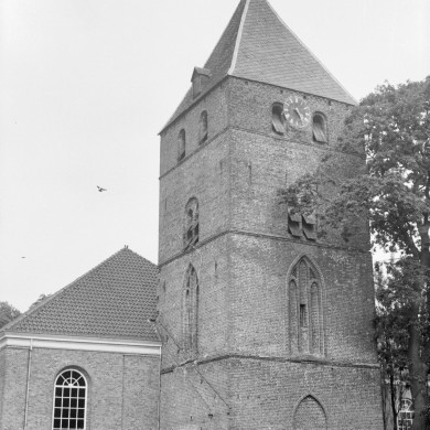 Rijksdienst voor het Cultureel Erfgoed: Schellekens, P.C.
