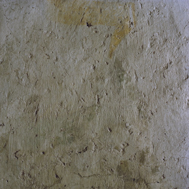 Rijksdienst voor het Cultureel Erfgoed: Galen, P. (Paul) van