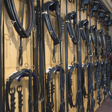 Rijksdienst voor het Cultureel Erfgoed: Tilleman, Ronald