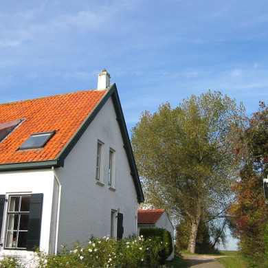 Rijksdienst voor het Cultureel Erfgoed: Terpstra, Frank