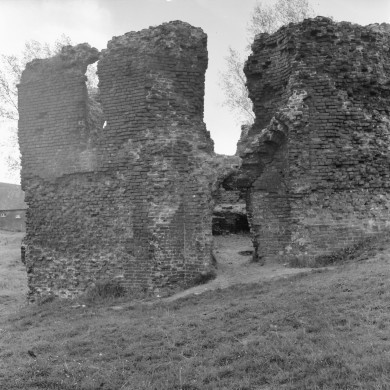 Rijksdienst voor het Cultureel Erfgoed: Delemarre, G.Th.