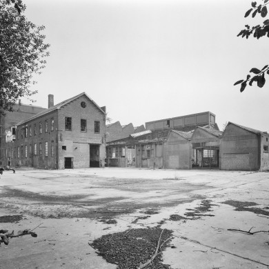 Rijksdienst voor het Cultureel Erfgoed: Heins, IJ.Th.