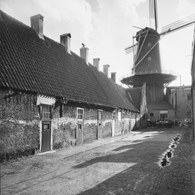 Rijksdienst voor het Cultureel Erfgoed: Delemarre, G.Th.