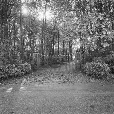 Rijksdienst voor het Cultureel Erfgoed: Schollen, A.H.C.