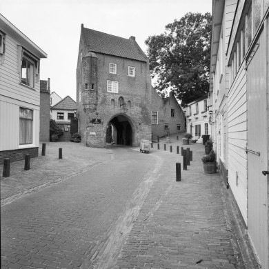 Rijksdienst voor het Cultureel Erfgoed: Heins, IJ.Th.