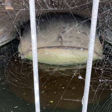Rijksdienst voor het Cultureel Erfgoed: Wal, Henry van der