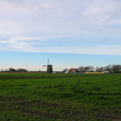 Rijksdienst voor het Cultureel Erfgoed: Terpstra, Frank