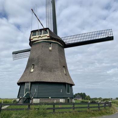 Rijksdienst voor het Cultureel Erfgoed: Bogers, Guido