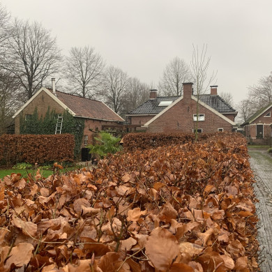 Rijksdienst voor het Cultureel Erfgoed: Bogers, Guido