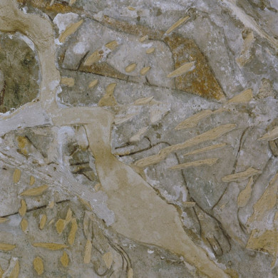 Rijksdienst voor het Cultureel Erfgoed: Tangel, L.M.