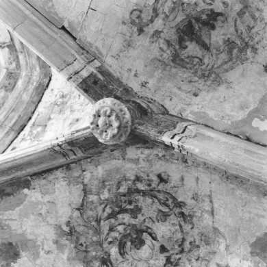 Rijksdienst voor het Cultureel Erfgoed: Delemarre, G.Th.