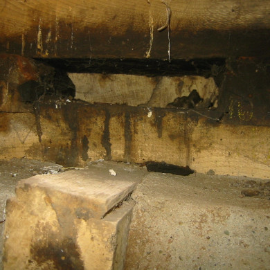 Rijksdienst voor het Cultureel Erfgoed: Terpstra, Frank