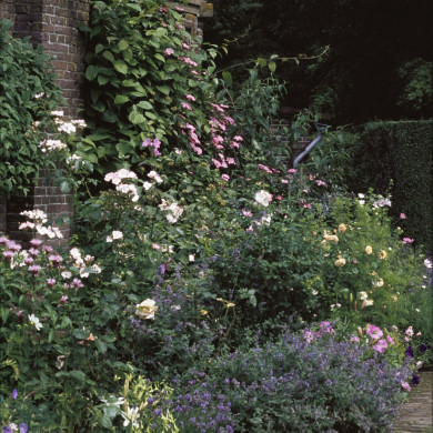 Rijksdienst voor het Cultureel Erfgoed: Heuff M. (Marijke)