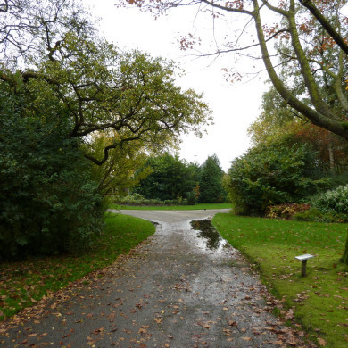 Rijksdienst voor het Cultureel Erfgoed: Lensvelt, Natascha