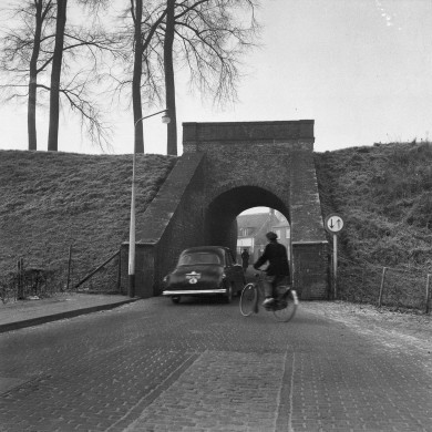 Rijksdienst voor het Cultureel Erfgoed: Delemarre, G.Th.