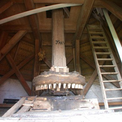 Rijksdienst voor het Cultureel Erfgoed: Terpstra, Frank