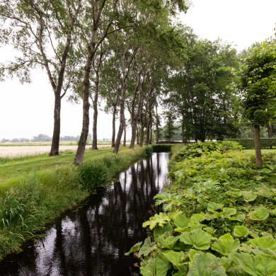 Rijksdienst voor het Cultureel Erfgoed: Sekuur, Mark