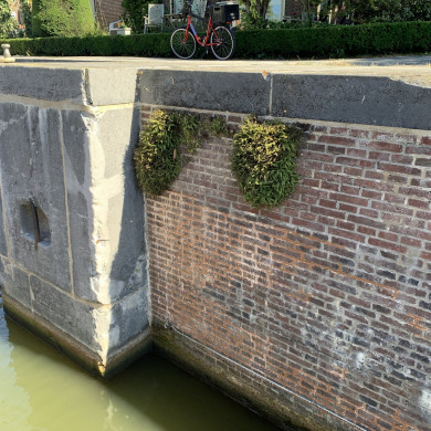 Rijksdienst voor het Cultureel Erfgoed: Bogers, Guido