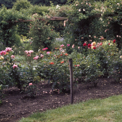 Rijksdienst voor het Cultureel Erfgoed: Heuff M. (Marijke)