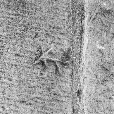 Rijksdienst voor het Cultureel Erfgoed: Wal, A.J. van der