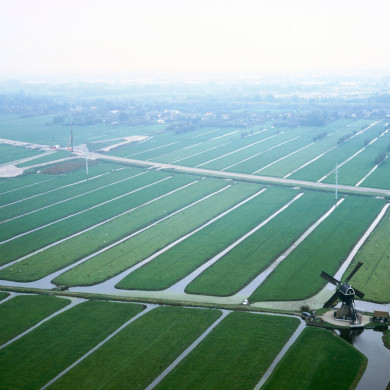 Rijksdienst voor het Cultureel Erfgoed: Swart, Siebe