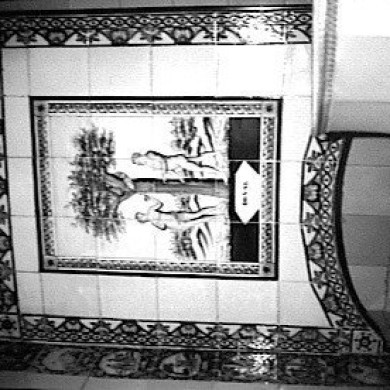 Rijksdienst voor het Cultureel Erfgoed: Groningen, C.L. van