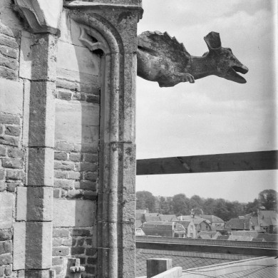 Rijksdienst voor het Cultureel Erfgoed: Schaft, N. van der