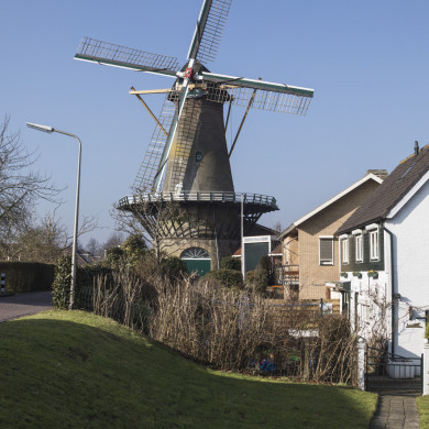 Rijksdienst voor het Cultureel Erfgoed: Scagliola, Daria