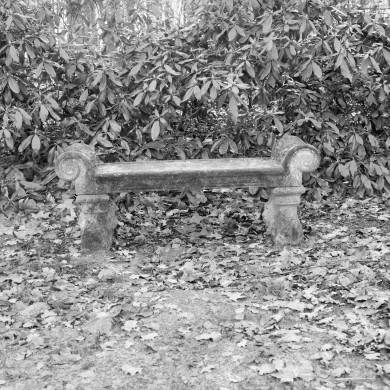 Rijksdienst voor het Cultureel Erfgoed: Heins, IJ.Th.