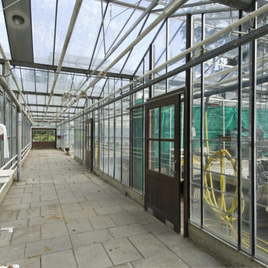 Rijksdienst voor het Cultureel Erfgoed: Galen, Jan van