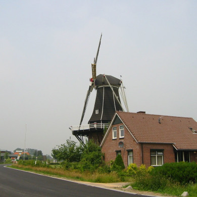 Rijksdienst voor het Cultureel Erfgoed: Terpstra, Frank