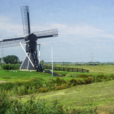 Rijksdienst voor het Cultureel Erfgoed: Kabel, F. (Frans)