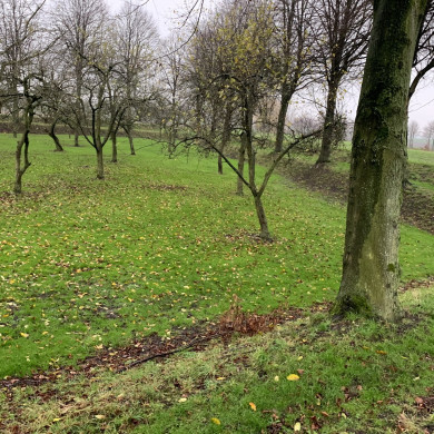 Rijksdienst voor het Cultureel Erfgoed: Bogers, Guido