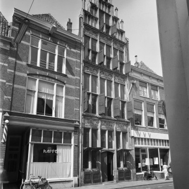 Rijksdienst voor het Cultureel Erfgoed: Delemarre, G.Th.