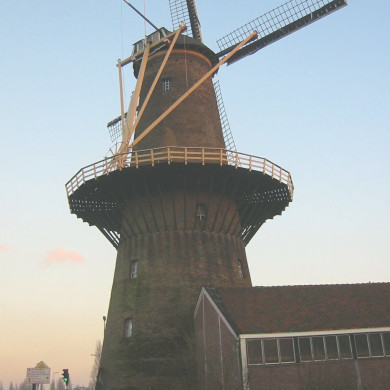 Rijksdienst voor het Cultureel Erfgoed: Terpstra, Frank