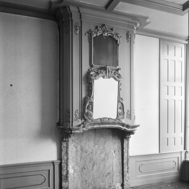 Rijksdienst voor het Cultureel Erfgoed: Delemarre, G.Th.