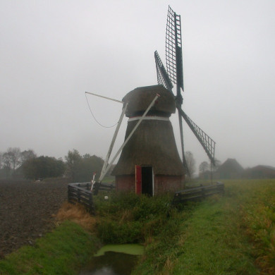 Rijksdienst voor het Cultureel Erfgoed: Terpstra, Frank