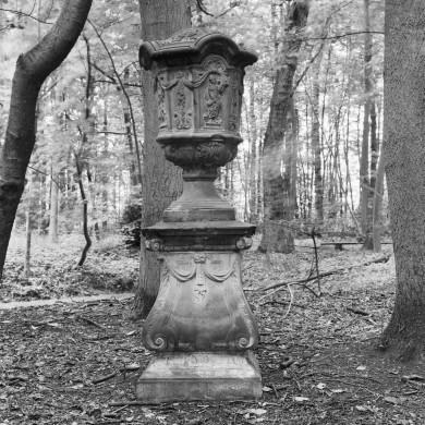 Rijksdienst voor het Cultureel Erfgoed: Wal, A.J. van der