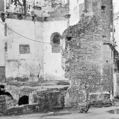 Rijksdienst voor het Cultureel Erfgoed: Wal, A.J. van der