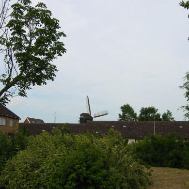 Rijksdienst voor het Cultureel Erfgoed: Terpstra, Frank