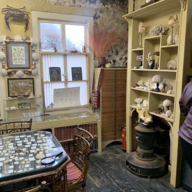 Rijksdienst voor het Cultureel Erfgoed: Bogers, Guido