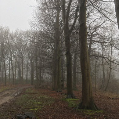 Rijksdienst voor het Cultureel Erfgoed: Wal, Henry van der