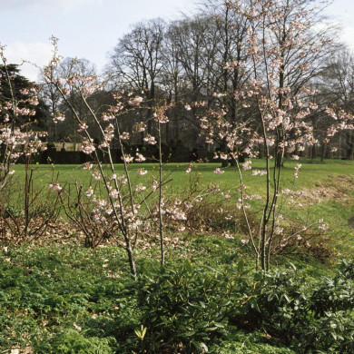 Rijksdienst voor het Cultureel Erfgoed: Heuff M. (Marijke)