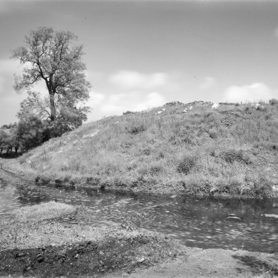 Rijksdienst voor het Cultureel Erfgoed