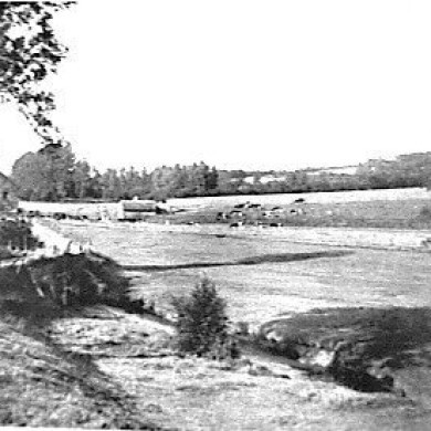 Rijksdienst voor het Cultureel Erfgoed: Bins, F.F.P.