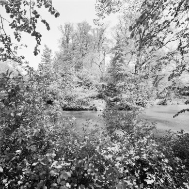 Rijksdienst voor het Cultureel Erfgoed: Galen, P. (Paul) van